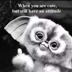 Meet your Posher, Celeste